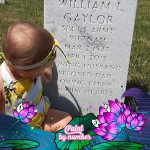 Meet your Posher, Terri